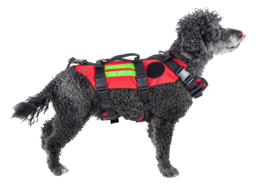 RESCUE’S DOG Geschirr für Hunde – Gr. S